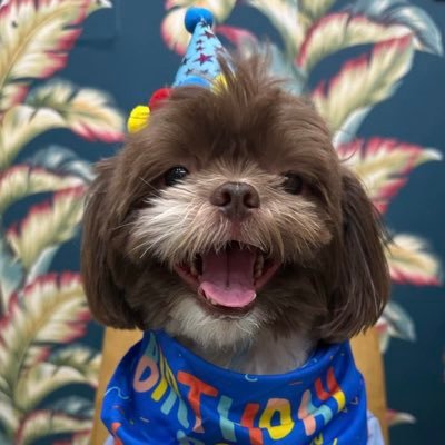 Ｙａｏｉ_Ｍａｚｔｅｒ