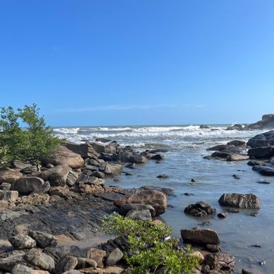 maristela alves onei