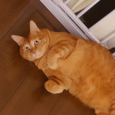 リュカさん@ツインターボ推し