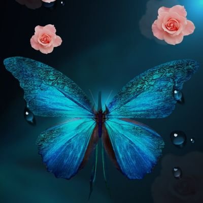 🦋✨️HRT✨️🦋