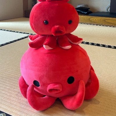 タコヤキヤケタ