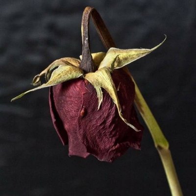 Sunshine on my shoulder