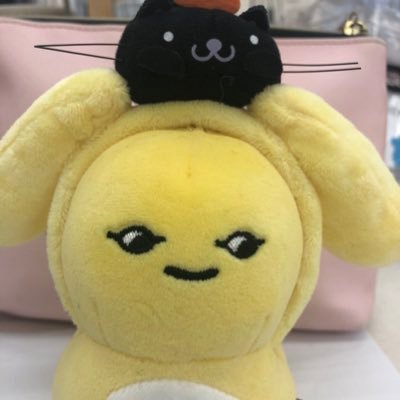 ちぃ　ヲタ活、オカメインコ　アカ