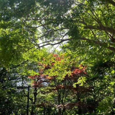 みね(右肩リハビリ中)!