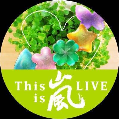 🍀*°maco( ･ᴗ･ )⸝⚐⚑⚐⚑⚐