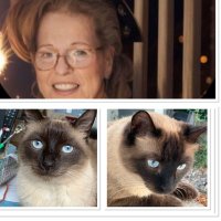 🌸 Pénélope 💕💙 PEPSIE