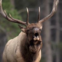 Sir Tain that life could be better than this!