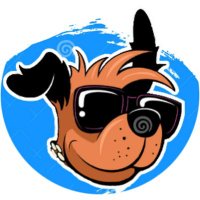 Ghost The Grumpy Aussie