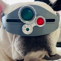 史上最強の図書委員長