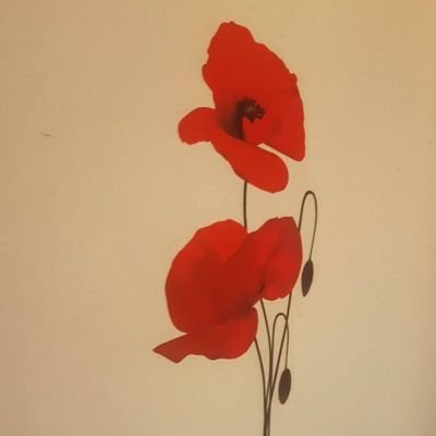 Giusy Accountdesalvinizzato