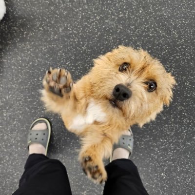 🌙밝은 미소🍑🦋