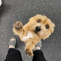 🌙밝은 미소🍑🦋