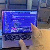 JOKI TUGAS NGODING || INFORMATIKA SISTEM INFORMASI