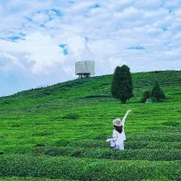 私藏这片天空（互关互fo🌈💯）