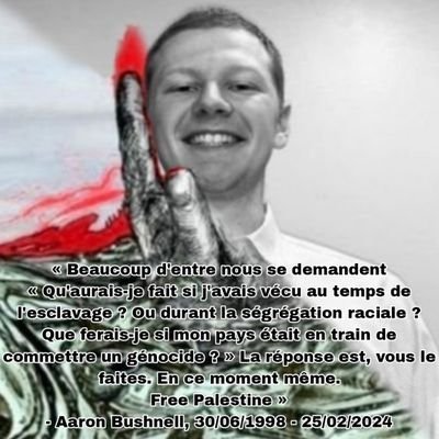 Weatherboy 🐢🔻🇵🇸