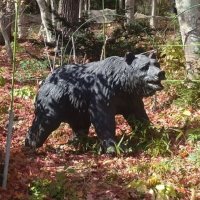 べぁ@逆さまつげ治療中(形成外科で3回手術済)