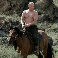 C u b u n g l a s h e