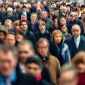 Crowd Wisdom Trading insights