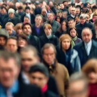 Crowd Wisdom Trading insights