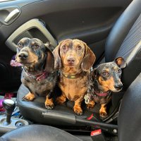 Giulio Alati 🇺🇦🇮🇱