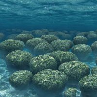 ストロマトライト