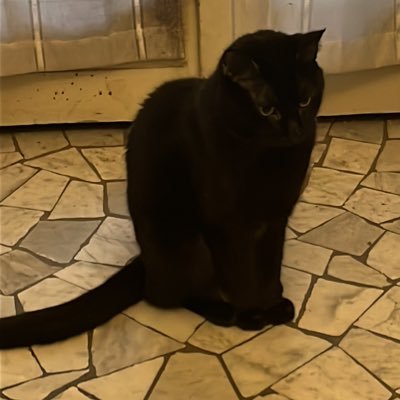 ⛷️Laura Fontana ⛷️