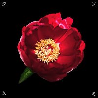 ウィッグカット