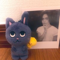 chinana🐈‍⬛🎸