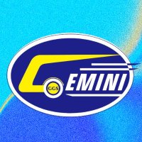 Gemini Group