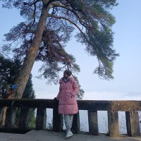 zhāng jūn fèng 张 君 凤