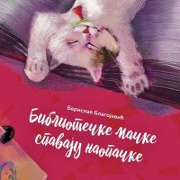 Berislav Blagojević