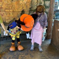 シロネコ【D垢🌋】Dハロまた来年👋🎃