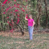 Cleide Bacagine Fagundes