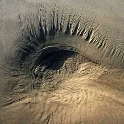 El observador de la historia