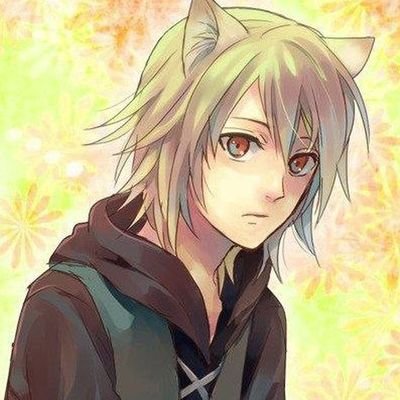 Prairie Catboy 🇨🇦