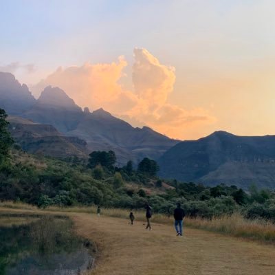 Kim 🍉🇿🇦🦕🦇