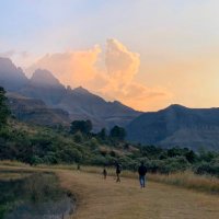 Kim 🍉🇿🇦🦕🦇