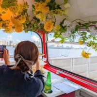 🐥🌸🌼yoshi🌼🌸🐥