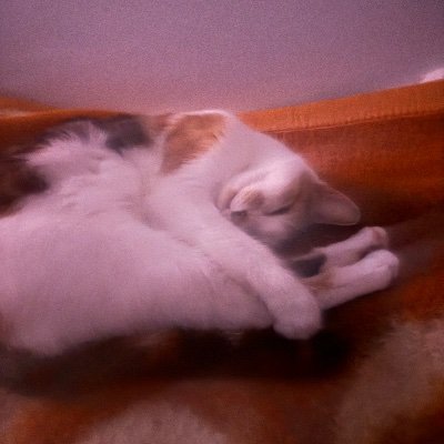 المتخلف الهيمالايي