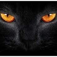 Μαύρος Γάτος 🇬🇷