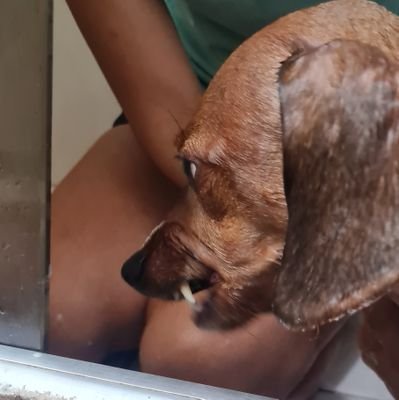 Comunista de Android