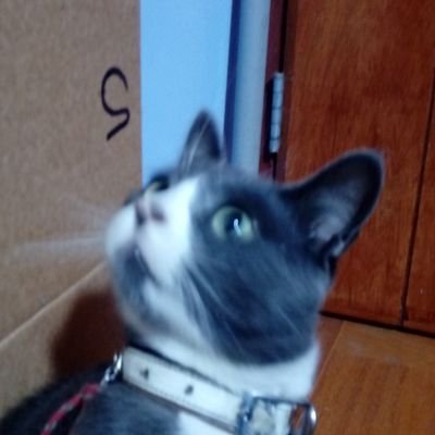 Kaleb | ๐๐ป๐ฎ๐ช๐ด๐ฒ๐ฎ๐ผ๐ฝ ๐ก๐ช๐ฟ๐ฎ๐ท ๐๐ช๐ฒ๐ท