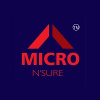 Micronsure Technologies Private Limited