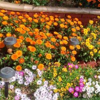 Upendra Singh (Ek hai to safe hai 👍)