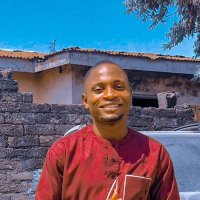 The QA Tester/Engineer