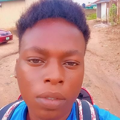 Michaels Ayomide EmFi