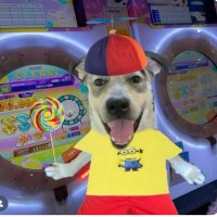 sexuellesObjektderBegierde