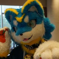 Peluño圣光🔜LFM