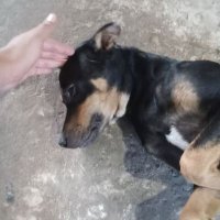 ตอนนี้ง่วง