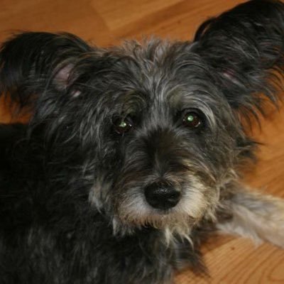 ๐ต๐๐๐๐พ๐๐๐๐